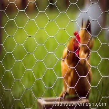 Giardino da casa pollo esagonali a rete reti rete da reti